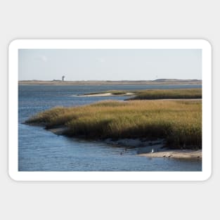 marshes Sticker